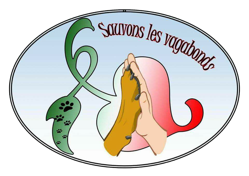 Sauvons les vagabonds