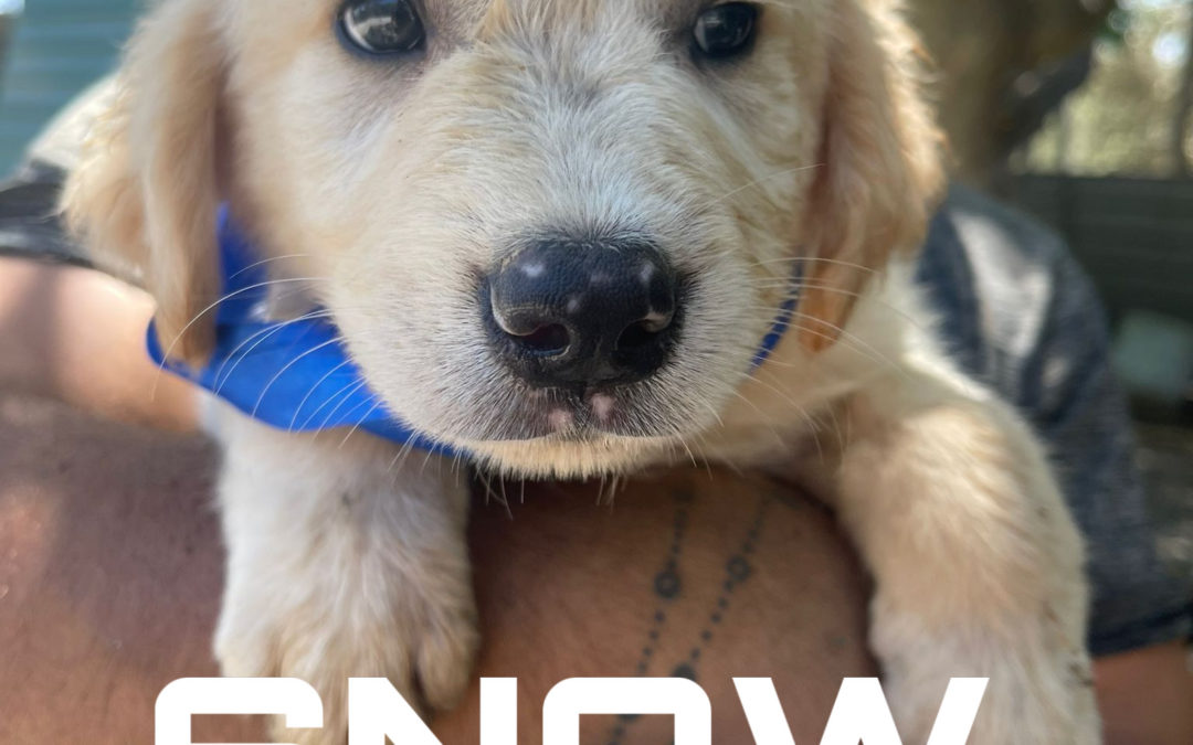 Snow