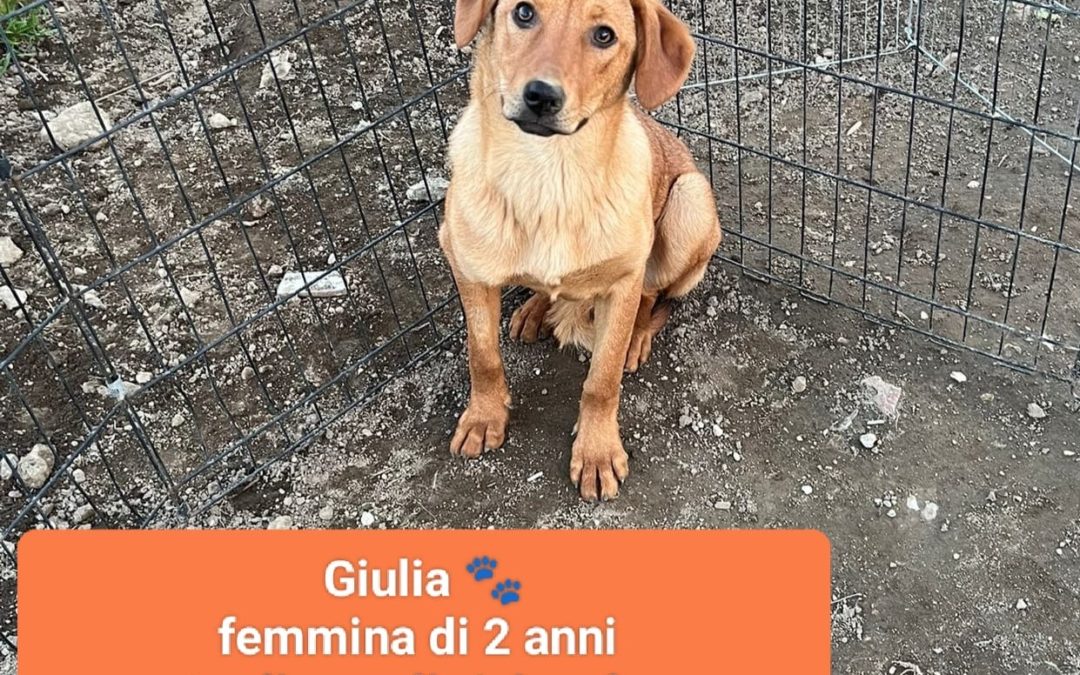 Giulia