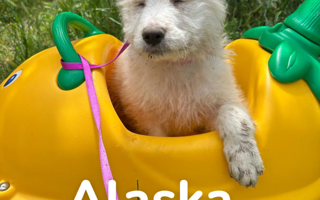 Alaska