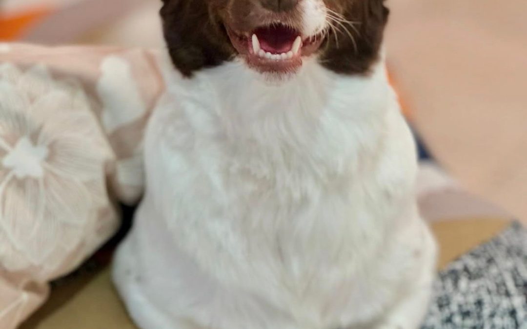 Milly